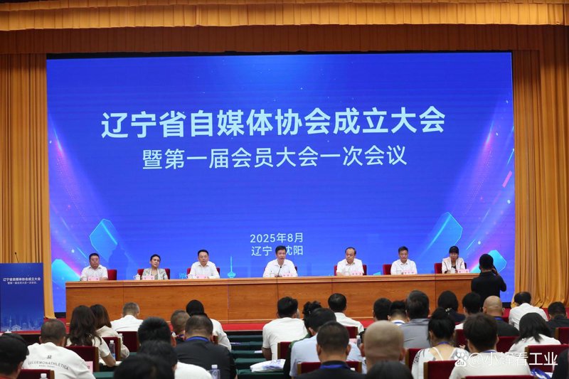 辽宁区域自媒体行业的快速发展与趋势探索